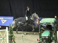 M-springen 201113_2859